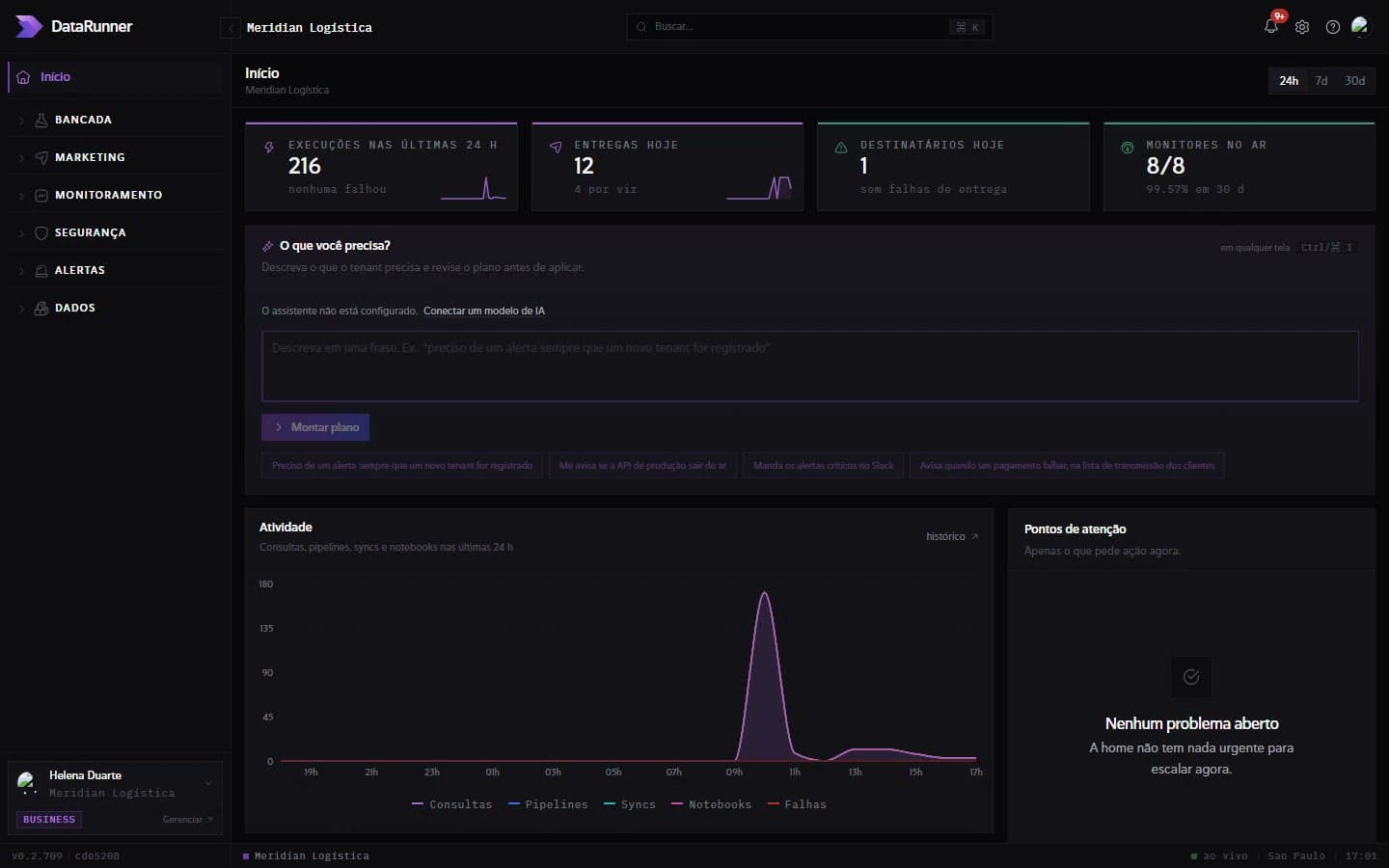 Console do DataRunner com conexões, consultas e relatórios